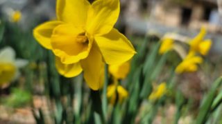 R8.2.2(月) 管理者交代のお知らせ